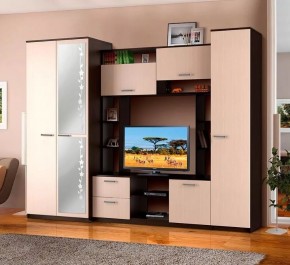 АЛЕКСАНДРА 10 Стенка в Лабытнанги - labytnangi.ok-mebel.com | фото 2