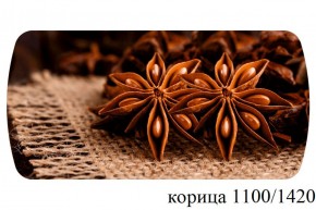 БОСТОН - 3 Стол раздвижной 1100/1420 опоры Брифинг в Лабытнанги - labytnangi.ok-mebel.com | фото 19
