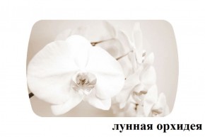 БОСТОН - 3 Стол раздвижной 1100/1420 опоры Брифинг в Лабытнанги - labytnangi.ok-mebel.com | фото 26