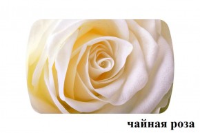 БОСТОН - 3 Стол раздвижной 1100/1420 опоры Брифинг в Лабытнанги - labytnangi.ok-mebel.com | фото 46