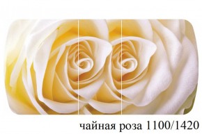 БОСТОН - 3 Стол раздвижной 1100/1420 опоры Брифинг в Лабытнанги - labytnangi.ok-mebel.com | фото 47