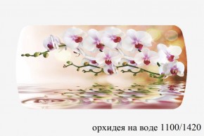 БОСТОН - 3 Стол раздвижной 1100/1420 опоры Брифинг в Лабытнанги - labytnangi.ok-mebel.com | фото 66