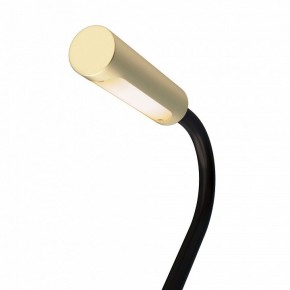 Бра Maytoni Stem C035WL-L3MG3K в Лабытнанги - labytnangi.ok-mebel.com | фото 6
