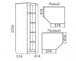 Детская Фанк Шкаф угловой Левый/Правый НМ 013.04-02 М в Лабытнанги - labytnangi.ok-mebel.com | фото 3