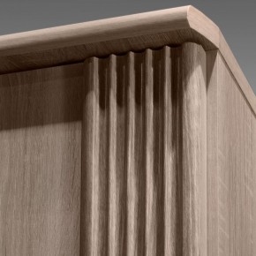 ДИАНА Д11 Шкаф для одежды в Лабытнанги - labytnangi.ok-mebel.com | фото 7