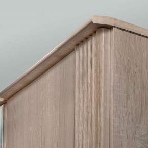 ДИАНА Д12 Шкаф для одежды в Лабытнанги - labytnangi.ok-mebel.com | фото 2
