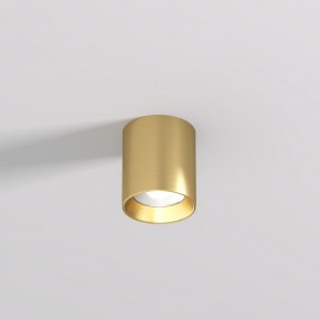DK2610-SB Накладной светильник SHINE TUBE со светодиодом, D70*H80, IP20, 3000К, 10W, RA?90, сатинированная латунь, алюминий в Лабытнанги - labytnangi.ok-mebel.com | фото