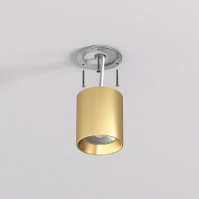 DK2610-SB Накладной светильник SHINE TUBE со светодиодом, D70*H80, IP20, 3000К, 10W, RA?90, сатинированная латунь, алюминий в Лабытнанги - labytnangi.ok-mebel.com | фото 3