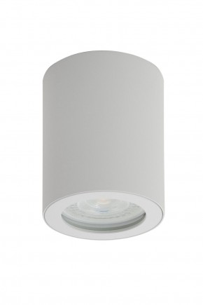 DK3007-WH Накладной светильник влагозащ., IP 44, 15 Вт, GU10, белый, алюминий в Лабытнанги - labytnangi.ok-mebel.com | фото
