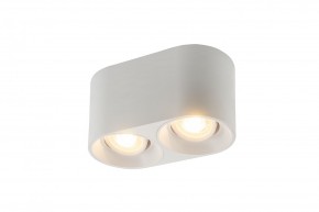DK3036-WH Светильник накладной IP 20, 10 Вт, GU5.3, LED, белый, пластик в Лабытнанги - labytnangi.ok-mebel.com | фото