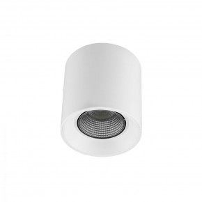 DK3090-WH+CH Светильник накладной IP 20, 10 Вт, GU5.3, LED, белый/хром, пластик в Лабытнанги - labytnangi.ok-mebel.com | фото