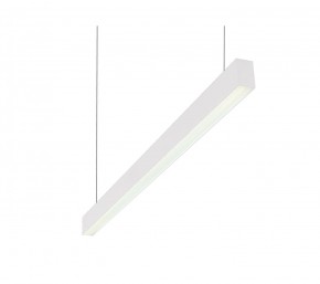 DK9124-WH Линейный светильник 30W 1250mm 4000K, белый в Лабытнанги - labytnangi.ok-mebel.com | фото