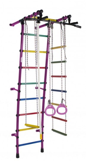 ДСК Стелла цв.фиолетовый радуга: турник, кольца, канат, трапеция, веревочная лестница в Лабытнанги - labytnangi.ok-mebel.com | фото