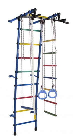 ДСК Стелла цв.синий радуга: турник, кольца, канат, трапеция, веревочная лестница в Лабытнанги - labytnangi.ok-mebel.com | фото