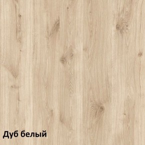 Эйп Шкаф для одежды 13.334 в Лабытнанги - labytnangi.ok-mebel.com | фото 5