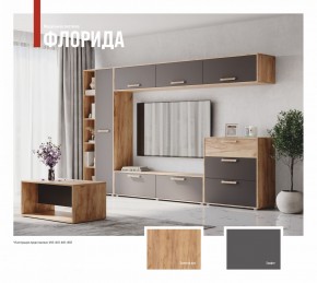 ФЛОРИДА Гостиная (модульная) дуб золотой/графит в Лабытнанги - labytnangi.ok-mebel.com | фото