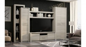 ЭЛИС Гостиная в Лабытнанги - labytnangi.ok-mebel.com | фото 2