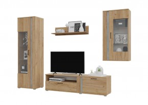 Гостиная Омега (Крафт золотой-Бетон) в Лабытнанги - labytnangi.ok-mebel.com | фото 2