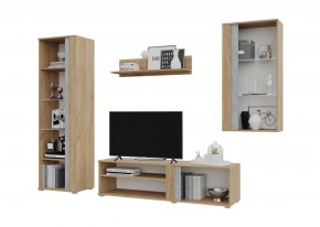 Гостиная Омега (Крафт золотой-Бетон) в Лабытнанги - labytnangi.ok-mebel.com | фото 3