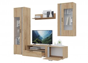 Гостиная Омега (Крафт золотой-Бетон) в Лабытнанги - labytnangi.ok-mebel.com | фото 4