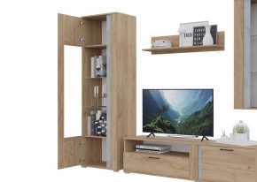 Гостиная Омега (Крафт золотой-Бетон) в Лабытнанги - labytnangi.ok-mebel.com | фото 5