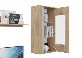 Гостиная Омега (Крафт золотой-Бетон) в Лабытнанги - labytnangi.ok-mebel.com | фото 6
