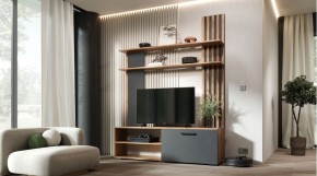 КАРОЛИНА Гостиная в Лабытнанги - labytnangi.ok-mebel.com | фото