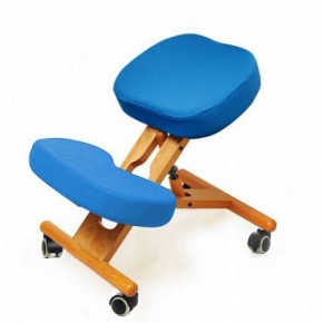 Коленный стул Smartstool KW02 + Чехлы в Лабытнанги - labytnangi.ok-mebel.com | фото