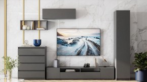 Комод Сибити в Лабытнанги - labytnangi.ok-mebel.com | фото 5