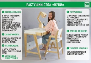 Комплект растущий стол и стул с чехлом 38 попугаев «Вуди» (Белый, Береза, Ромбы) в Лабытнанги - labytnangi.ok-mebel.com | фото 2