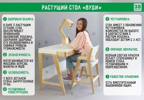 Комплект растущий стол и стул с чехлом 38 попугаев «Вуди» (Белый, Без покрытия, Клетка) в Лабытнанги - labytnangi.ok-mebel.com | фото 2