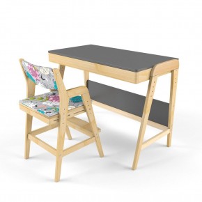 Комплект растущий стол и стул с чехлом 38 попугаев «Вуди» (Серый, Без покрытия, Мечта) в Лабытнанги - labytnangi.ok-mebel.com | фото 1