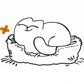 Кровать двухуровневая Кот № 900.1 ЛЕВАЯ (туя светлая/белый) в Лабытнанги - labytnangi.ok-mebel.com | фото 2