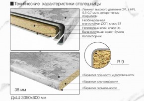 Кухонный фартук со столешницей (А-01) в едином стиле (3050 мм) в Лабытнанги - labytnangi.ok-mebel.com | фото 6