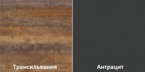 Кухонный гарнитур угловой Трансильвания 2600х1600 мм (Стол. 38 мм) в Лабытнанги - labytnangi.ok-mebel.com | фото 3