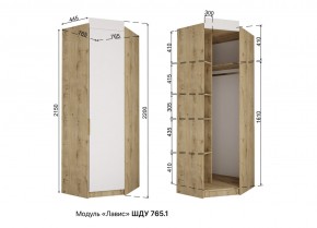 ЛАВИС Детская (модульная) белый/роза-белый софт/ручка золотая в Лабытнанги - labytnangi.ok-mebel.com | фото 11