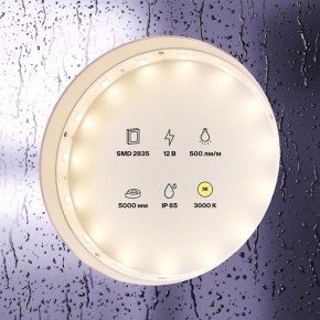 Лента светодиодная Maytoni Led strip 10105 в Лабытнанги - labytnangi.ok-mebel.com | фото 2