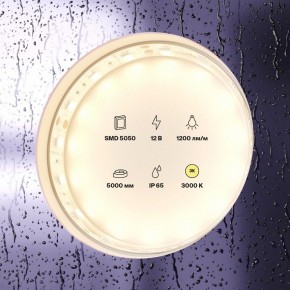 Лента светодиодная Maytoni Led strip 10131 в Лабытнанги - labytnangi.ok-mebel.com | фото 2