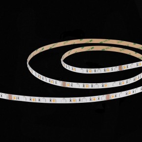Лента светодиодная ST-Luce  ST019.318.20RGBW в Лабытнанги - labytnangi.ok-mebel.com | фото 5