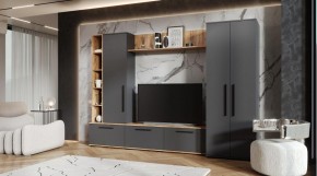 ЛЕВАНТЕ Гостиная в Лабытнанги - labytnangi.ok-mebel.com | фото