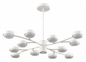 Люстра на штанге Lumion TORINA 8265/12 в Лабытнанги - labytnangi.ok-mebel.com | фото