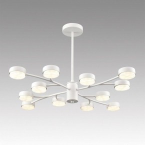 Люстра на штанге Lumion TORINA 8265/12 в Лабытнанги - labytnangi.ok-mebel.com | фото 3