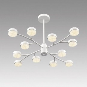Люстра на штанге Lumion TORINA 8265/12 в Лабытнанги - labytnangi.ok-mebel.com | фото 5
