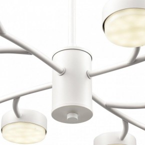 Люстра на штанге Lumion TORINA 8265/12 в Лабытнанги - labytnangi.ok-mebel.com | фото 8