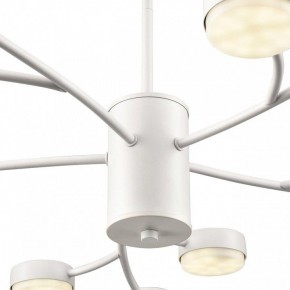 Люстра на штанге Lumion TORINA 8265/15 в Лабытнанги - labytnangi.ok-mebel.com | фото 8