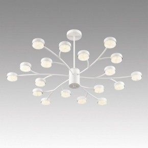 Люстра на штанге Lumion TORINA 8265/18 в Лабытнанги - labytnangi.ok-mebel.com | фото 5