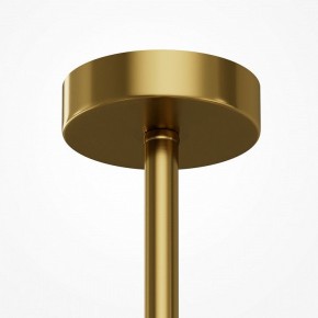 Люстра на штанге Maytoni Museo MOD436PL-05BS в Лабытнанги - labytnangi.ok-mebel.com | фото 6