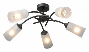 Люстра на штанге Vitaluce V2850 V2850-1/5PL в Лабытнанги - labytnangi.ok-mebel.com | фото 2