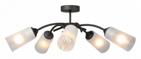 Люстра на штанге Vitaluce V2850 V2850-1/5PL в Лабытнанги - labytnangi.ok-mebel.com | фото 3