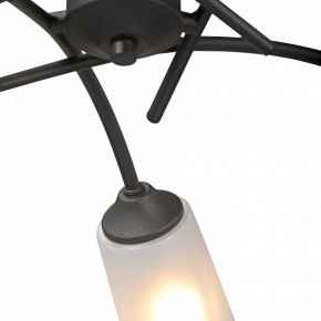 Люстра на штанге Vitaluce V2850 V2850-1/5PL в Лабытнанги - labytnangi.ok-mebel.com | фото 6